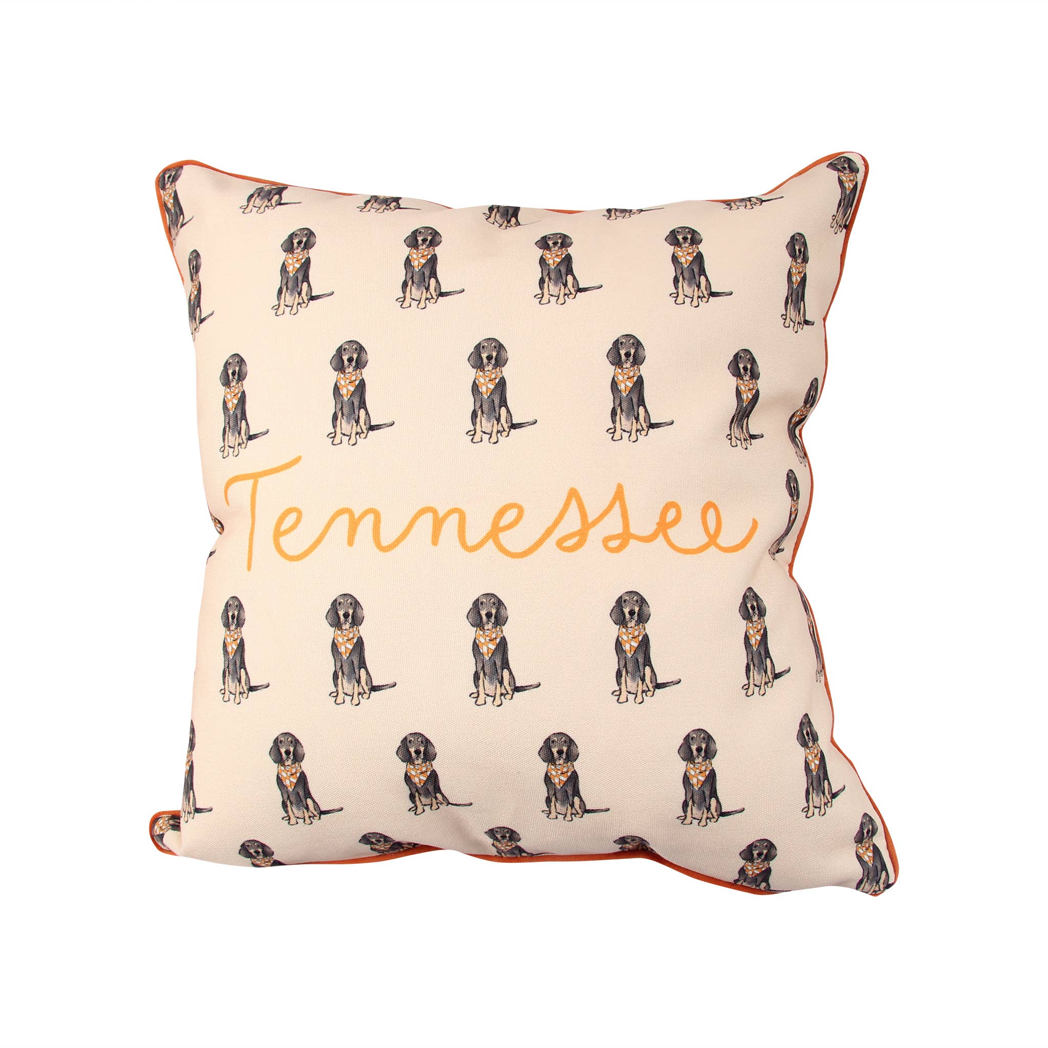 Bluetick Coonhound Tennessee Gingham Pillow