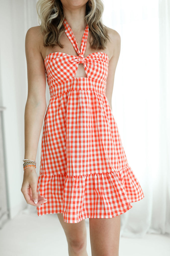 Taylor Gingham Dress – Give Her Six