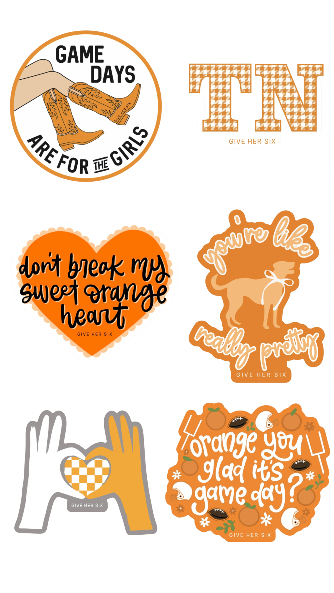 Sticker: 2024 6 Pack